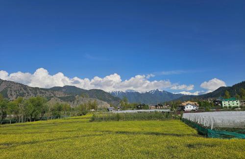 Kokernag Hotel | Hotel Riverwood Kokernag