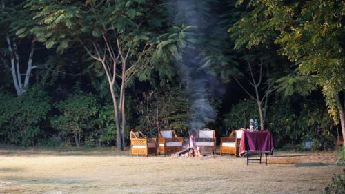 Thana Gazi House | Hotel Wow - Relish in the Wild, Lakeside location, Nearest to Sariska Entry Gate 10KM