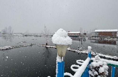 Dal Lake Hotel | Houseboat Wild Rose
