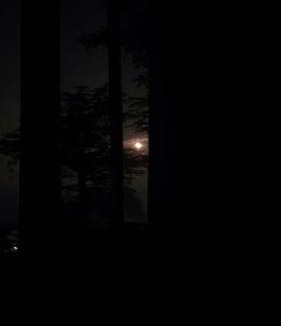 Shimla House | Husnara