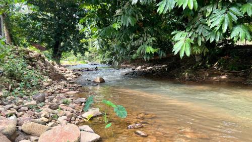 Janda Baik Resort | I-NAI Greenville Janda Baik