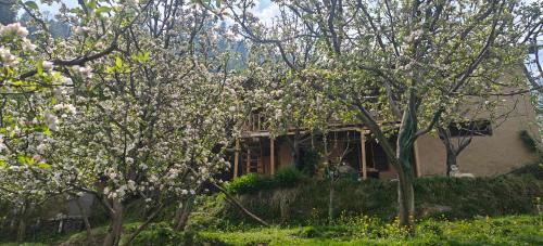 Manali House | Ikigai homestay
