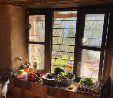Manali House | Ikigai homestay