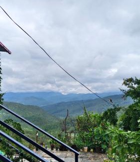 Almora House | Indra home stay kasardevi