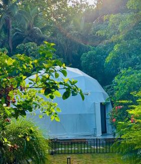 Bardez Hotel | Indulge House