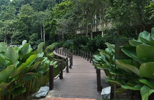Taman Canning Condo | Ipoh The Haven Lakeside Apt Mountain View 3-7 pax