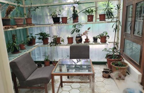 Bhopal House | Ivy's Home Stay