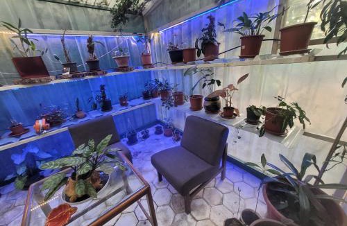 Bhopal House | Ivy's Home Stay