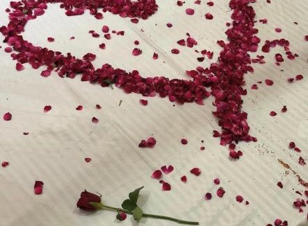 Hisar Hotel | Jk hotel