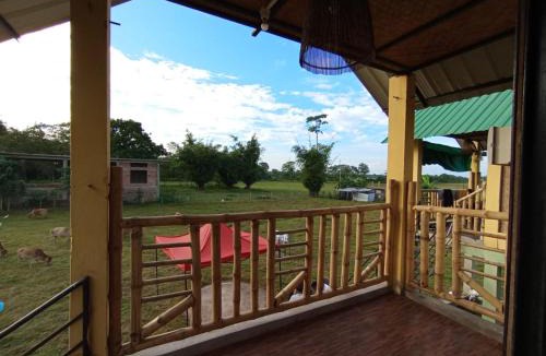 Hatikhuli Other | Kāziranga Nature Stay