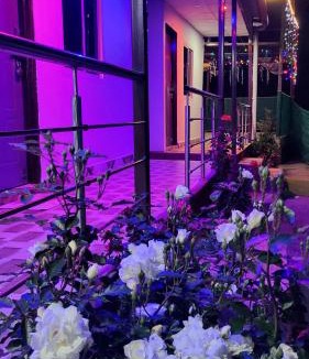 Narainkoti Cabin | Kaafal tree cottage and restaurant
