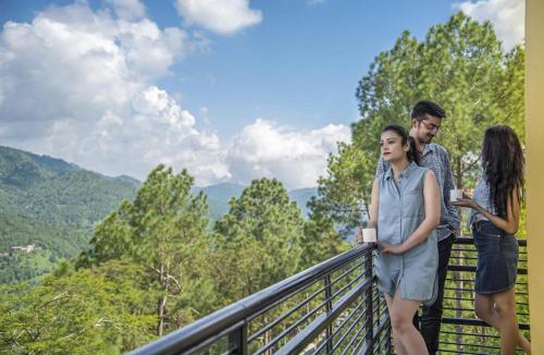 Dharampur House | Kasauli Greens Homestay