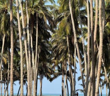 Chavakkad House | Katadi beach homestay