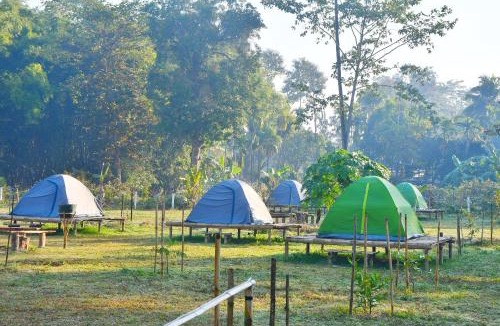 Hatikhuli Hotel | Kodom Bari Retreat, Kaziranga