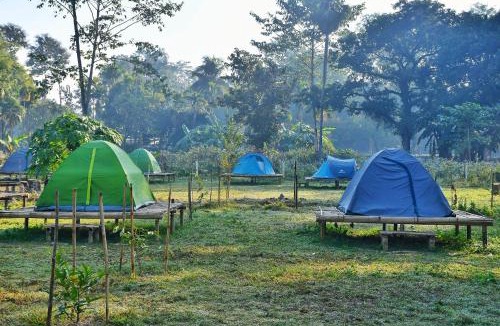 Hatikhuli Hotel | Kodom Bari Retreat, Kaziranga