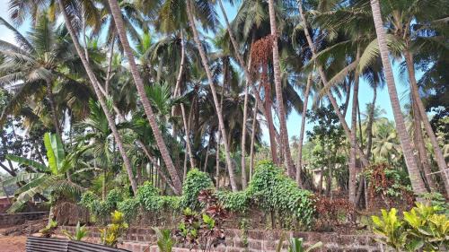 Ratnagiri House | Madhuri Vijay Homestay