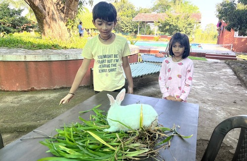 Karjat Hotel | Mango Tree Farm