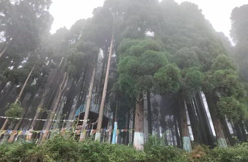 Rishop House | Margaret's Himalayan Nest
