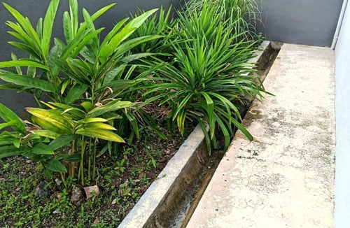 Bukit Payong House | Mayang Homestay Bukit Payong, Terengganu