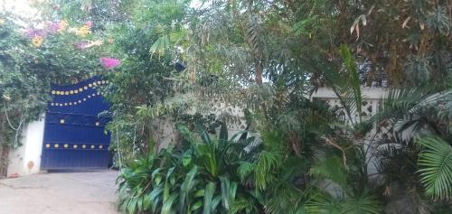 Mahabalipuram Beach Hotel | Meya Beach Walk Hotel