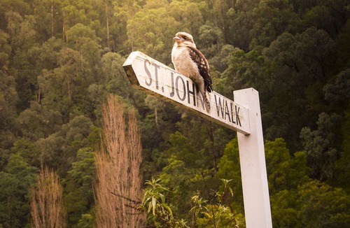 Walhalla Hotel | Mill House