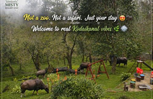 Kodaikanal House | Misty Resort Stay
