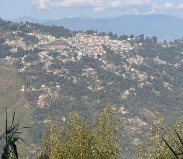 Darjeeling House | Morning bliss homestay