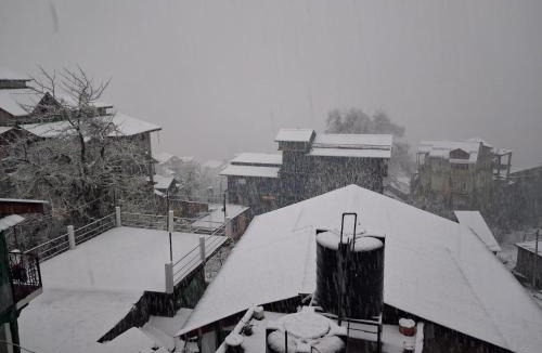Aleo House | Mountain Heals Homestay
