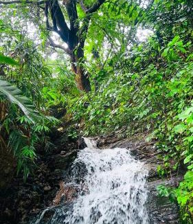 Bandarban Hotel | Mountain Springs Resort