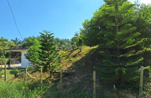 Kuala Penyu House | Mutodon Green