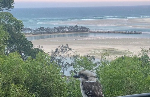 Nambucca Heads House | Nambucca rainforest retreat. Secluded - short walk to beaches, river and cafes.