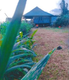 Amini Cabin | Nature's Harmony Heaven