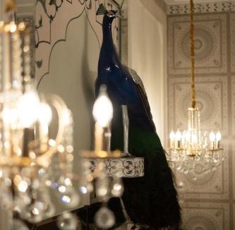 Sector 19 Villa | Nawab Mahal by AB LuxeStays - Private Villa