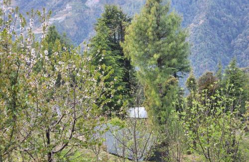 Theog Other | New Kufari Apple Valley camping