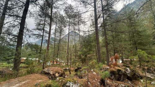 Kasol Hostel | Northbound Kasol