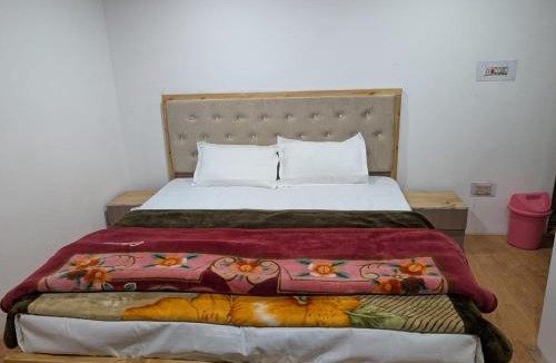 Diskit House | Nubra Hillview Guesthouse