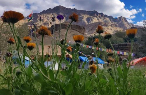 Shargole Resort | Nunkun Camp Shargole Kargil