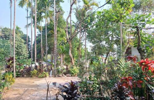 Mawlynnong House | Odyssey Stays Mawlynnong