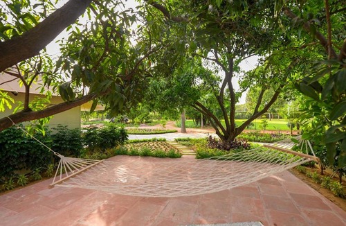 Taoru House | Orchard At Sarai - Luxury Tent Villas, Swimming Pool, Large lawns, & Pet friendly