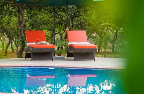 Taoru House | Orchard At Sarai - Luxury Tent Villas, Swimming Pool, Large lawns, & Pet friendly
