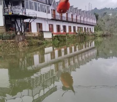 Rewalsar Hotel | Pandav Meditation and Tourist Palace