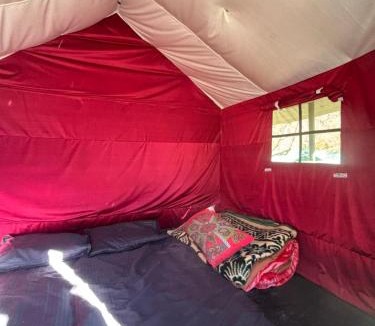 Kullu Other | Paradise Camping Apple Orchard