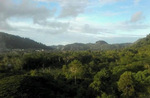 Kuah Apartment | Penthouse Magnificent Rain Forest View