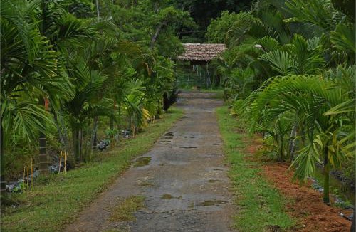 North and Middle Andaman District Hotel | PRISTINE BEACH RESORT