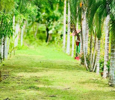 North and Middle Andaman District Hotel | PRISTINE BEACH RESORT