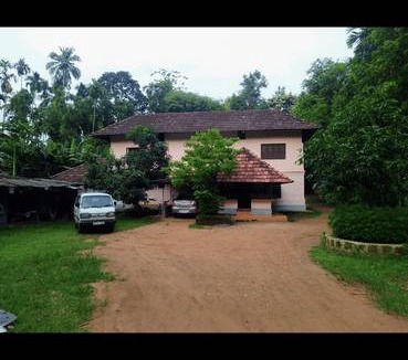 Pandikkad Resort | Private room ∙ 2 guests