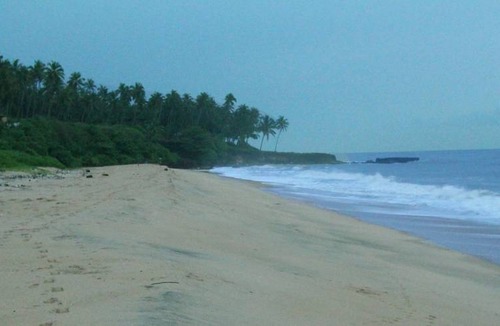 Kannur Resort | Private room ∙ 2 guests