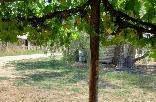 Undera Cottage | Private self-contained Cottage on working farm in Undera, Northern Victoria.