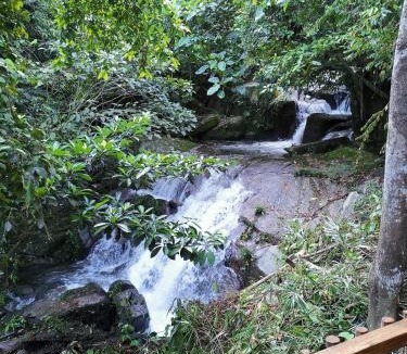 Ulu Telom Cabin | Rain Forest Inn