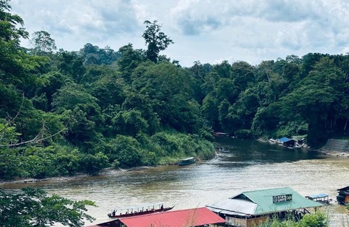 Kuala Tahan Hotel | Rainbow River View